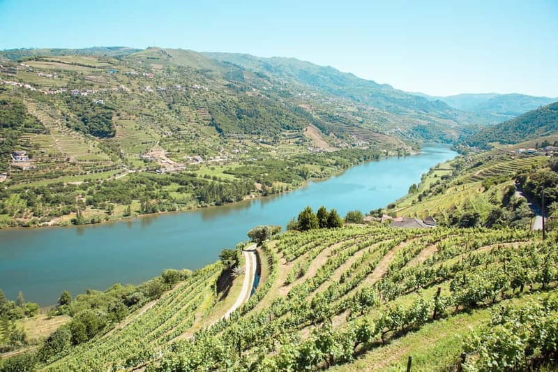 Douro Valley: Real Small-Group, Wine Tasting, Lunch & Boat - Discover the Heart of Portugals Douro Valley