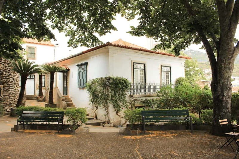 Douro Valley: Real Small-Group, Wine Tasting, Lunch & Boat - Price and logistics