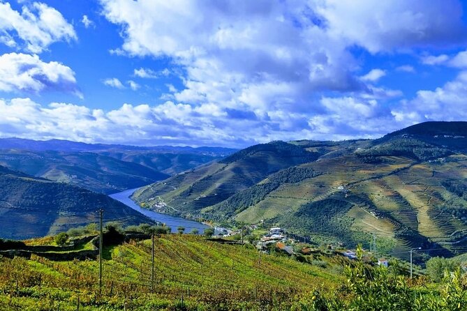 Douro Valley Small-Group Tour: 2 Wineries, Lunch, Optional Cruise - Transportation and Accessibility