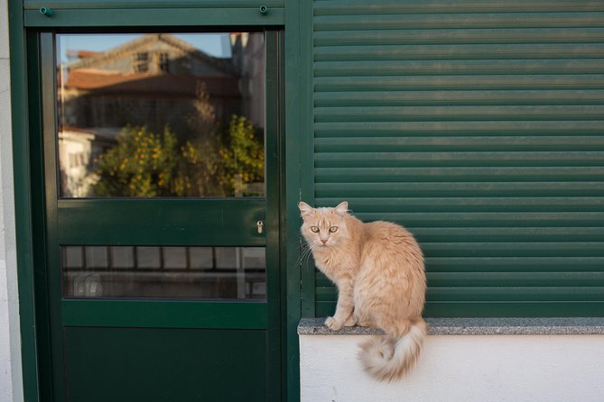 Douro Valley Small-Group Tour With Wine Tasting, Lunch and Optional Cruise - Highlights of the Wine Tasting Experience