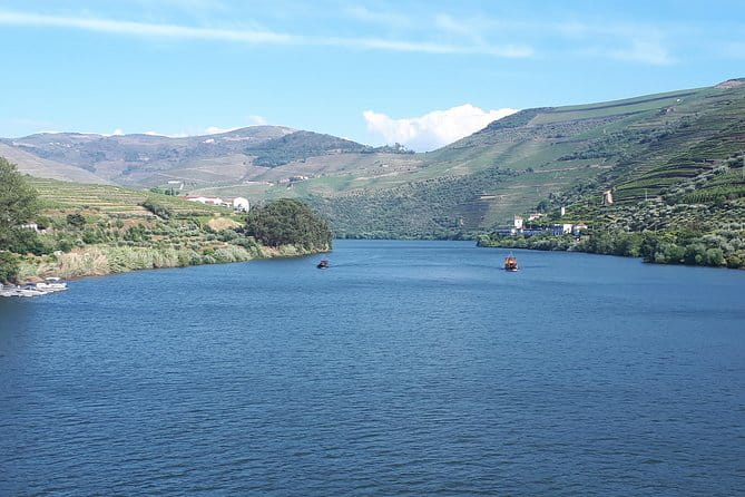 Douro Valley Tour (wine & Food) - An In-Depth Look at the Douro Valley Tour Experience