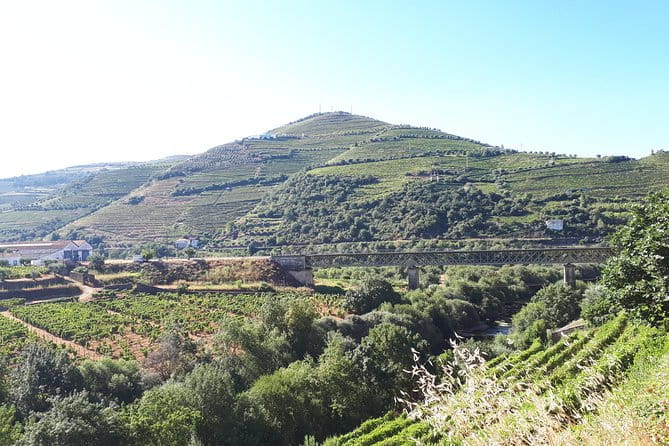 Douro Valley Tour (wine & Food) - FAQs