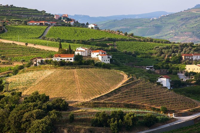 Douro Valley Tour: Wine Tasting, Cruise and Lunch From Porto - Practical Information