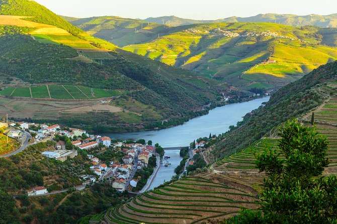 Douro Valley Tour: Wine Tasting, Cruise and Lunch From Porto - Cancellation Policy