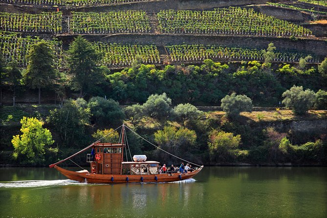 Douro Valley Tour: Wine Tasting, Cruise and Lunch From Porto - Explore Douro Valley Vineyards