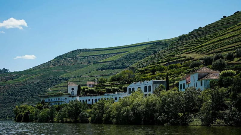 Douro Valley Tour with Lunch, Visit to a Vineyard, Boat Trip - Who Is This Tour Best For?