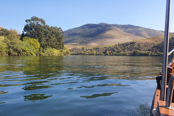 Douro Valley Tour with Train and Vinho Verde - Visiting a Cellar in Vilarinho de São Romão