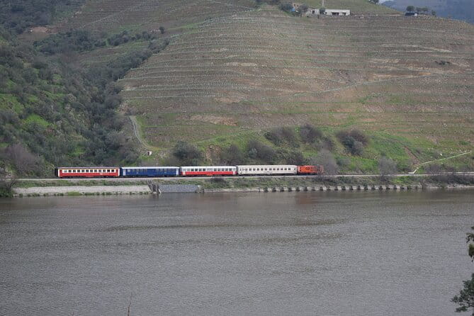 Douro Valley Tour with Train and Vinho Verde - Returning to Porto: A Fitting End