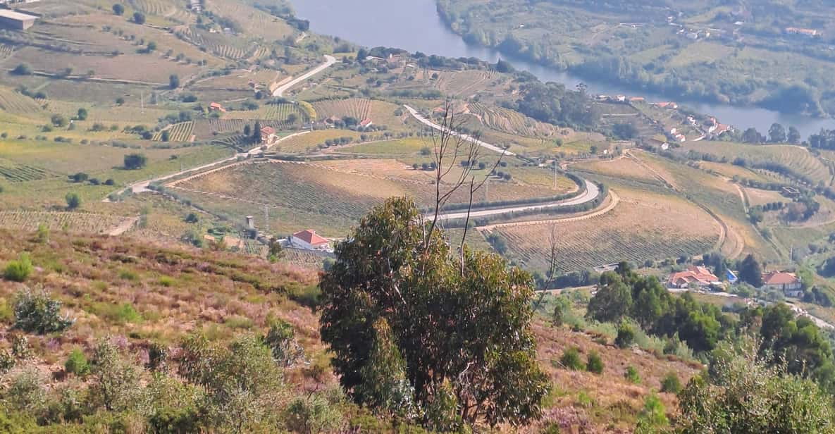 Douro Valley Tours, Braga Guimarães, Santiago De Compostela - Private Service Excellence
