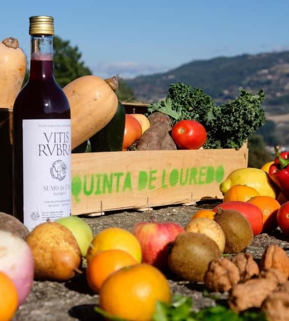 Douro Valley: Traditional Cooking Class, Farm Tour & Lunch - The Farm Tour and Harvesting: A Walk Through the Land
