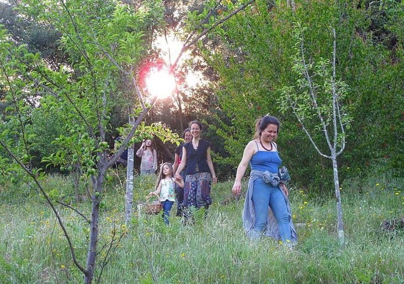 Douro Valley: Traditional Cooking Class, Farm Tour & Lunch - Tasting and Sharing: Enjoying the Fruits of Labor