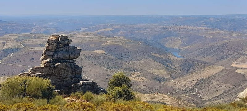 Douro Valley: Wine & Chocolate Tour in the Wine Region - Key points / Takeaways