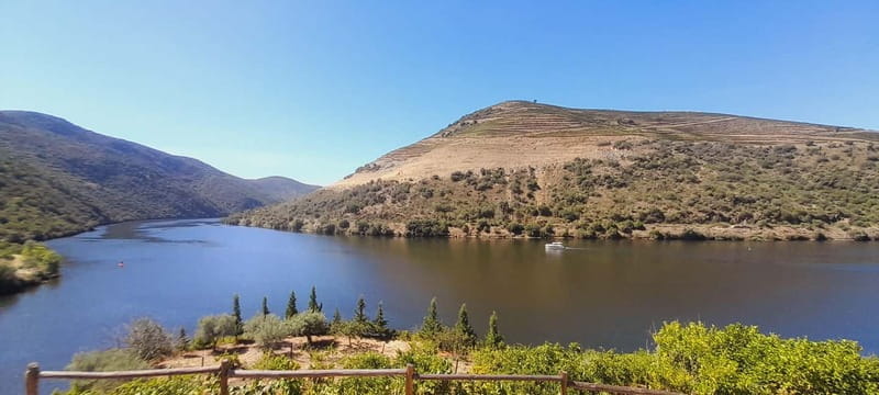 Douro Valley: Wine & Chocolate Tour in the Wine Region - The value of a well-structured itinerary