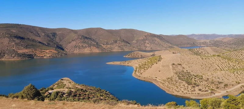 Douro Valley: Wine & Chocolate Tour in the Wine Region - Final thoughts: Is this your Douro experience?