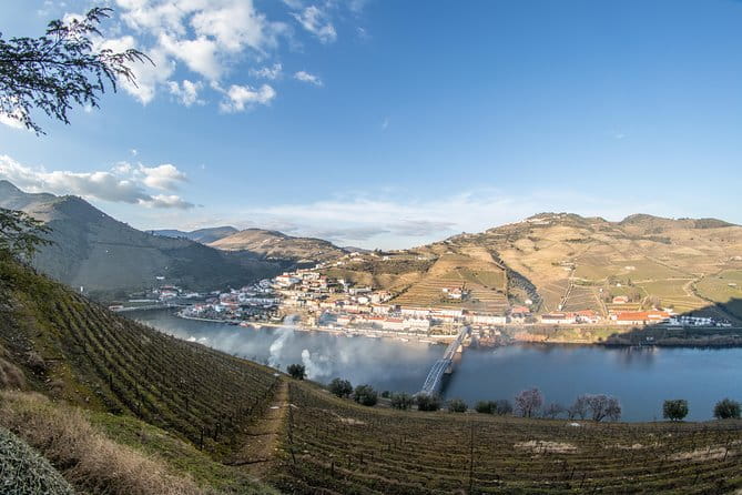 Douro Valley Wine Experience with a Sommelier - Discovering the Douro Valley: A Practical Guide to the Experience