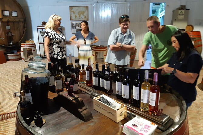 Douro Valley Wine Experience with a Sommelier - Why This Tour Works Well for Travelers