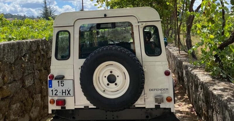 Douro Valley wine safari with wine tastings and lunch - Lunch in a Vineyard: Casual, Hearty, and Local