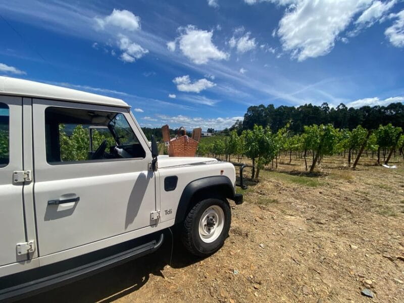 Douro Valley wine safari with wine tastings and lunch - Final Stop in Amarante and Return to Porto