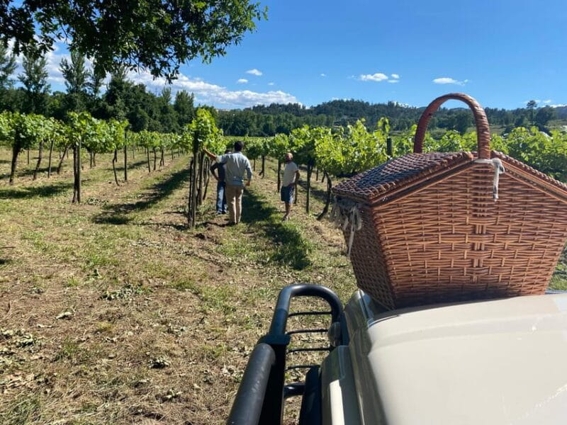 Douro Valley wine safari with wine tastings and lunch - Who Will Love This Tour?