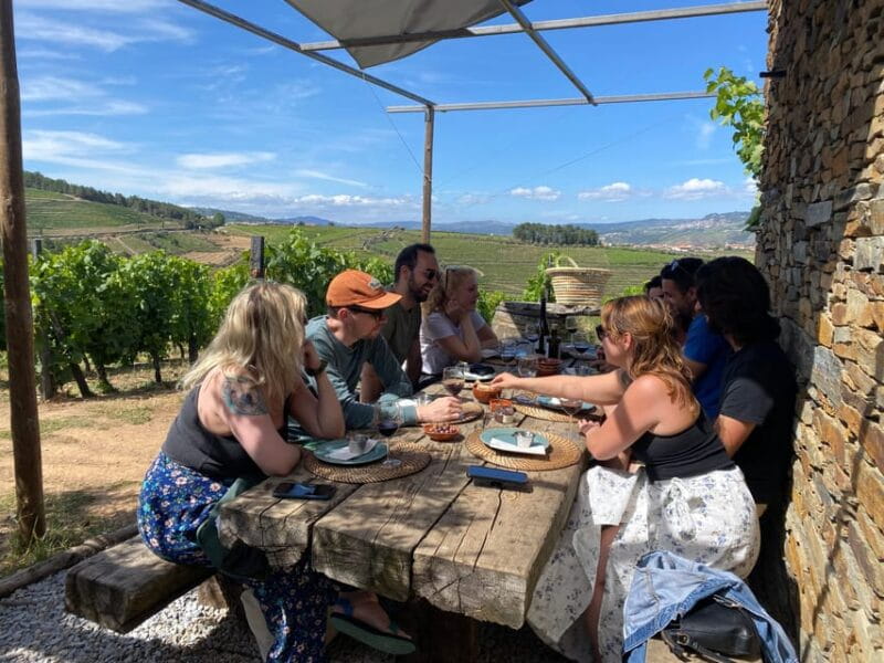 Douro Valley wine safari with wine tastings and lunch - Practical Tips for the Trip