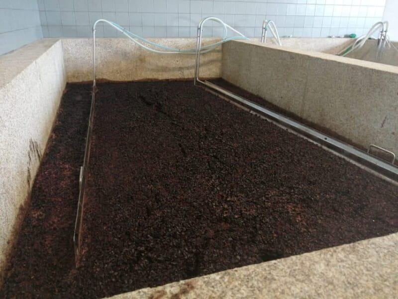 Douro Valley Wine Tour With Traditional Lunch - Discovering the Douro Valley: An Experience in Scenic Splendor