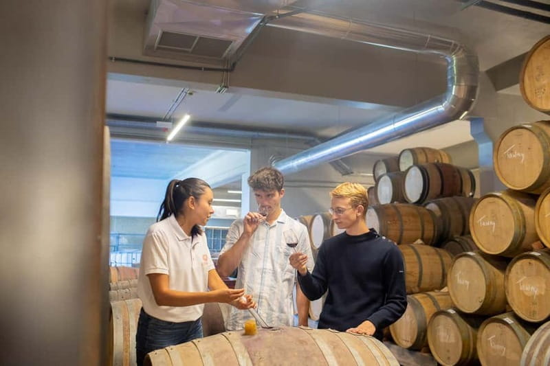 Douro Valley: Winery Visit & Legacy Port Wine Tasting - The View and Atmosphere: A Perfect Setting