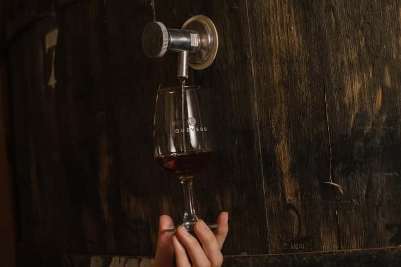 Douro Valley: Winery Visit & Legacy Port Wine Tasting - Who Will Love This Tour?