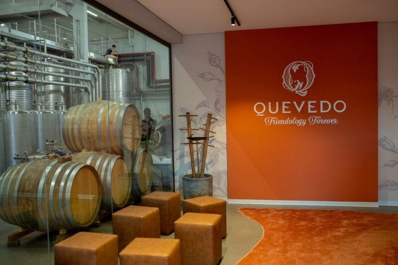 Douro Valley: Winery Visit & Premium Aged Port Wine Tasting - Key points / Takeaways