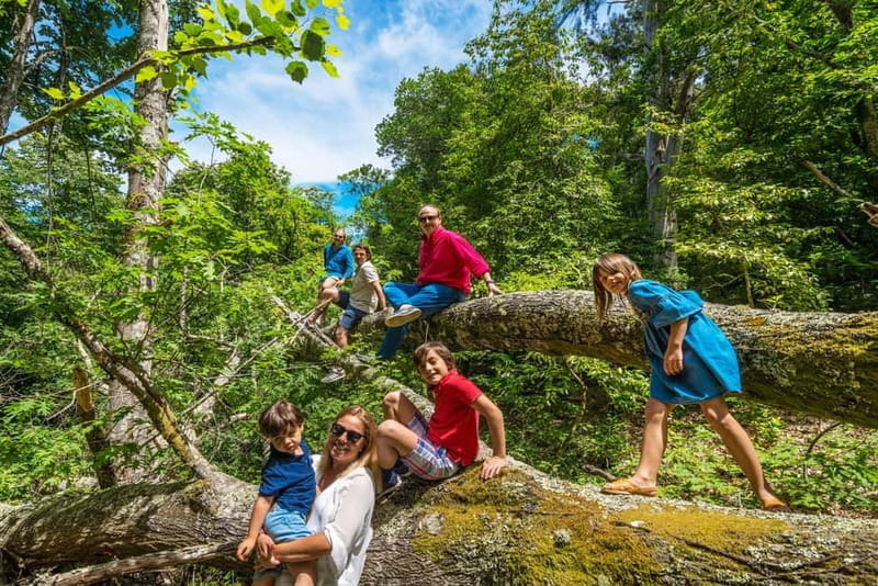 Douro: Visit And Walk Through The Vineyards And Woods - Introduction: A Walk Through Time and Nature in Douro