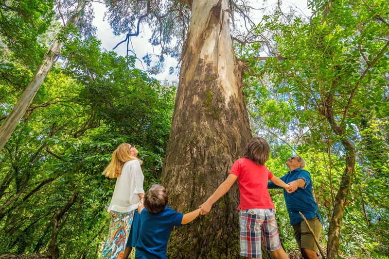 Douro: Visit And Walk Through The Vineyards And Woods - Key Points / Takeaways