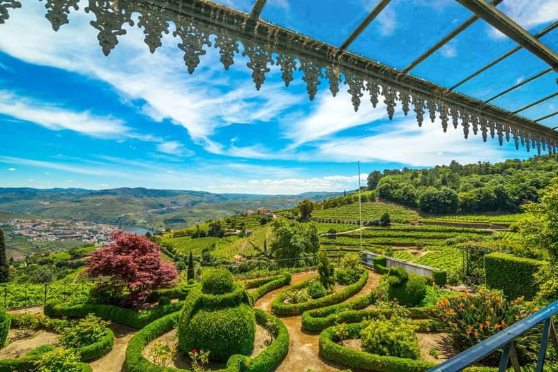 Douro: Visit And Walk Through The Vineyards And Woods - Practical Details: What to Know Before You Go