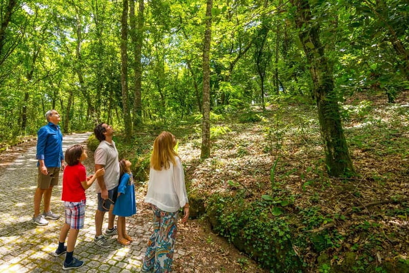 Douro: Visit And Walk Through The Vineyards And Woods - Price and Value Considerations