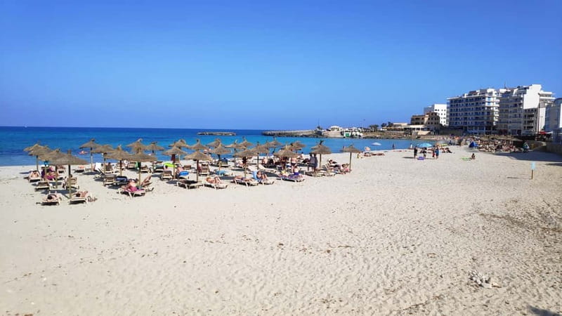 Drach Caves and Palma or Beach Retreat Full-Day Tour - Key points / Takeaways