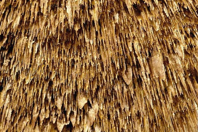 Drach Caves with Port Cristo and Pearl Shop Mallorca Full Day Tour - Price and Value: A Fair Deal for Varied Experiences