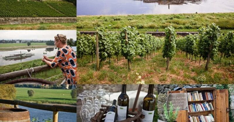 Dresden Bike Tour with Wine Tasting - Price and Overall Value