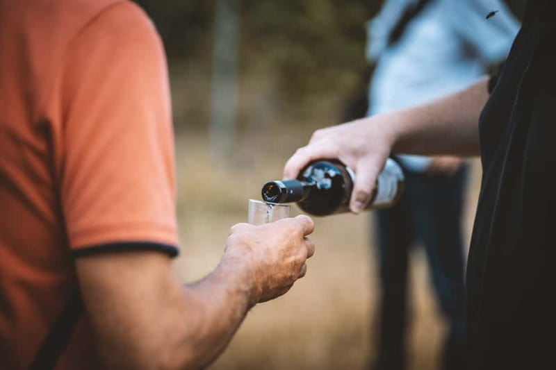 Dresden: Boat Cruise with Wine Tasting and Snacks - Key points / Takeaways