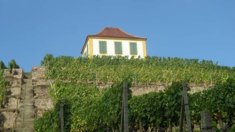 Dresden: Boat Cruise with Wine Tasting and Snacks - What To Expect: From Scenic Views to Authentic Flavors