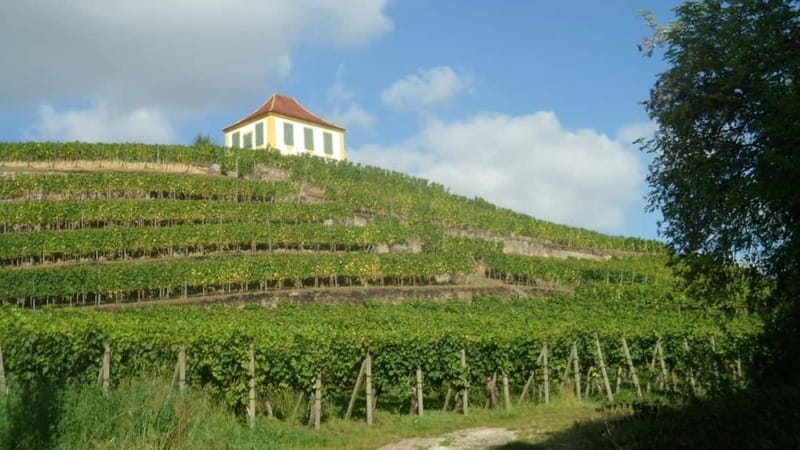 Dresden: Boat Cruise with Wine Tasting and Snacks - Price and Logistics: Good Value for a Full Day