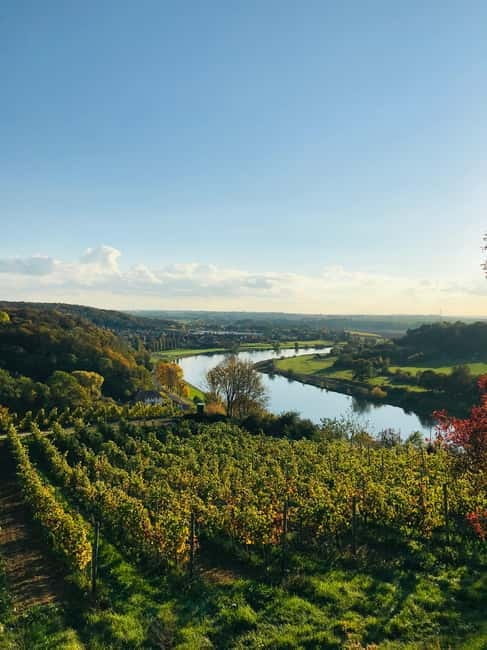 Dresden: Boat Cruise with Wine Tasting and Snacks - FAQ