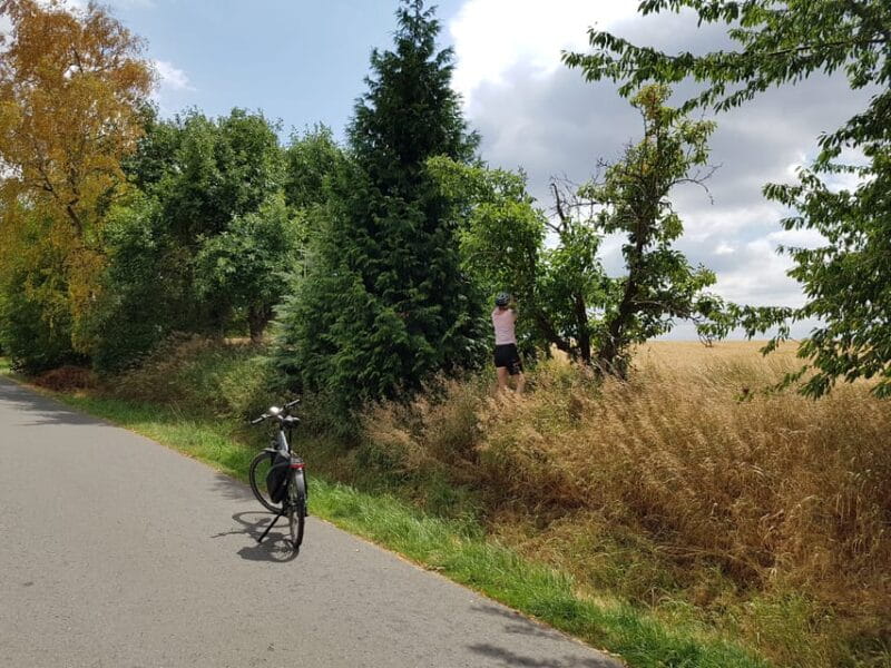 Dresden: E-Bike Tour and Dresden Heath Forest Trails - FAQs