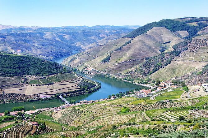Driver with Private Vehicle in the Douro Valley - Exploring the Douro Valley on Your Terms