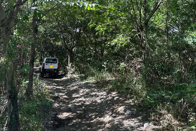 Driving Experience at the Nearest Off-Road Course From Tokyo - Participant Requirements and Recommendations