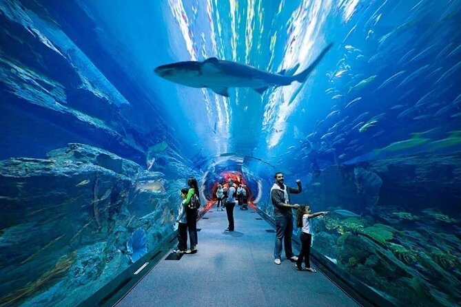 Dubai Aquarium & Under Water Zoo With Penguin Cove Option - Diverse Marine Life Encounters