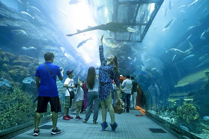 Dubai Aquarium & Under Water Zoo With Penguin Cove Option - Variety of Aquatic Creatures