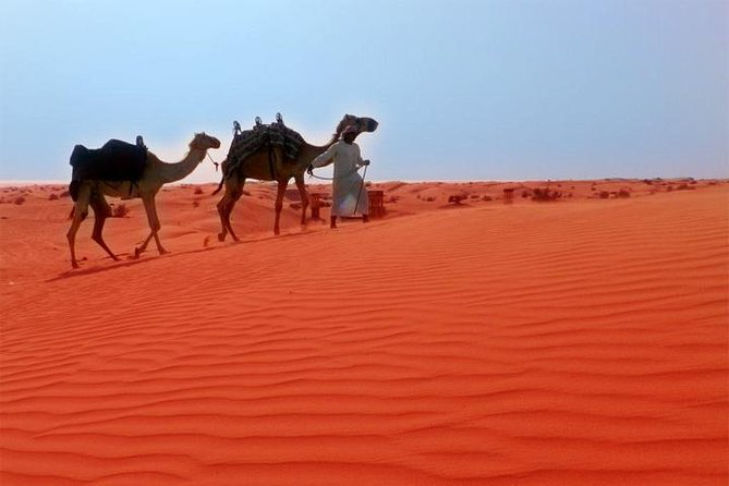 Dubai City Tour and Desert Safari - Exploring Dubai Creek