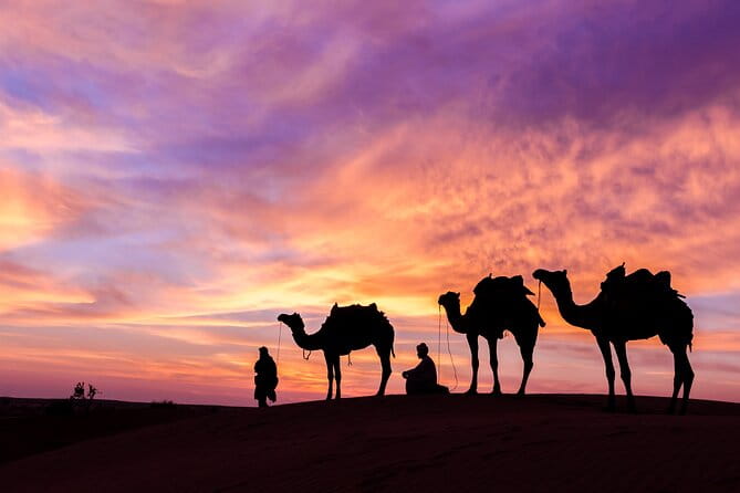 Dubai Desert Safari Dune Bashing, Camel Ride, Sand Boarding, BBQ Dinner. - Convenient Pickup and Drop-off Service