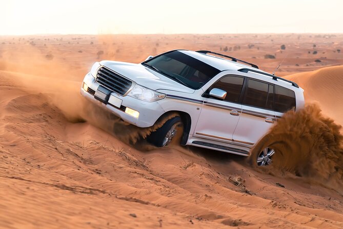 Dubai Evening Desert Safari With BBQ Dinner - Meeting and Pickup