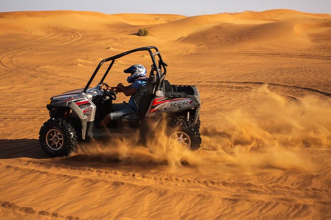 Dubai Evening Desert Safari With BBQ Dinner - Traveler Reviews