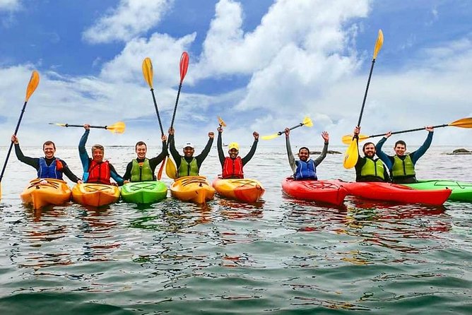 Dublin Bay Seal Kayaking Safari at Dalkey - Safety Precautions