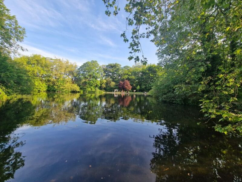Dublin: Dublin City Highlights Private Guided Walking Tour - The Sum Up